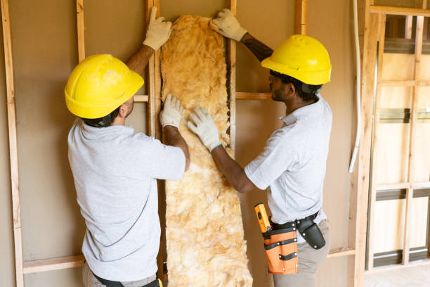 Best Insulation for New Construction in Trucksville, PA